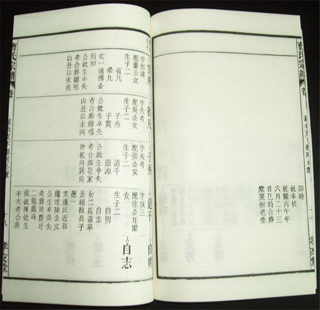 魏县家谱设计