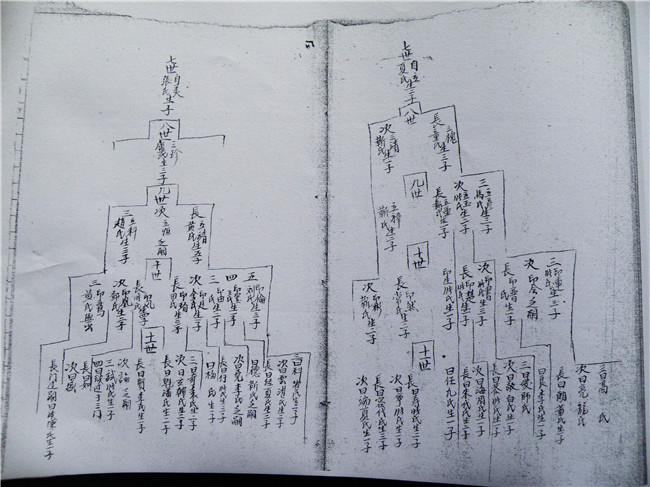 临潭家谱设计